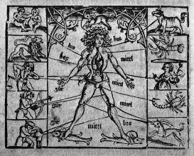 Astrological man with signs of the zodiac, 1529