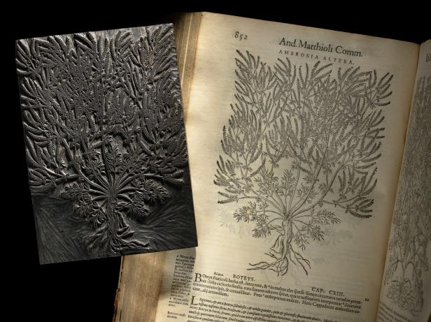 Woodblock Woodblock and woodblock print
