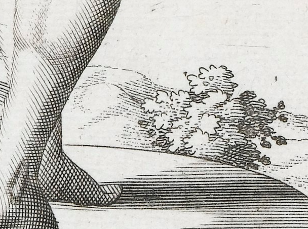 Browne, detail The regular lines of the leg and plinth are engraved, while the sketchier and curvier lines of the foliage are etched.
