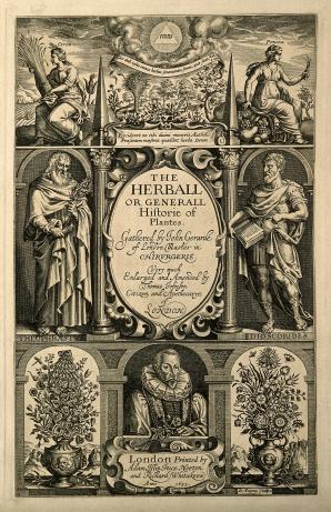 Gerard Frontispiece Frontispiece of The Herball or, Generall Historie of Plantes